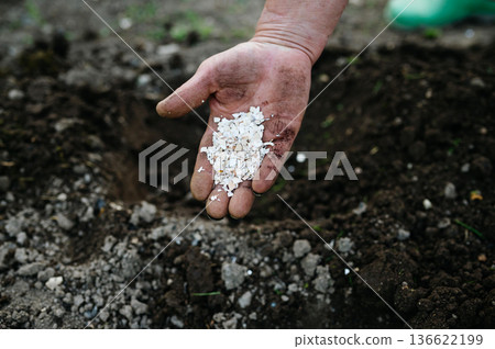 Using crushed eggshells as natural fertilizer in garden soil. 136622199