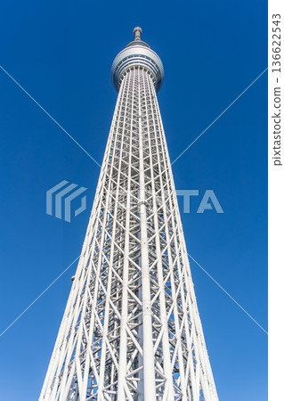 "Tokyo" Blue sky and Tokyo Skytree, Sumida Ward 136622543