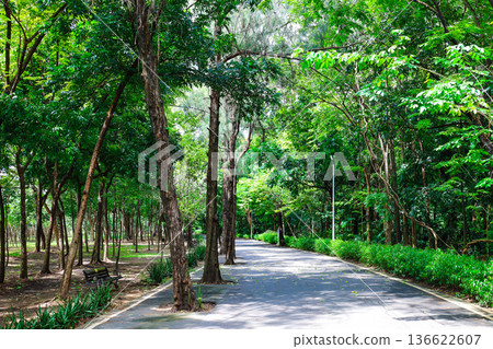 綠色公園風光 136622607