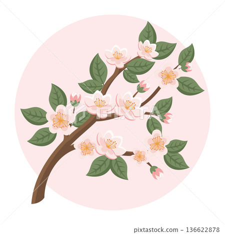 Cute cherry blossom branch with pink flowers. Illustration. Cute cherry blossom branch with pink flowers. Illustration. 136622878