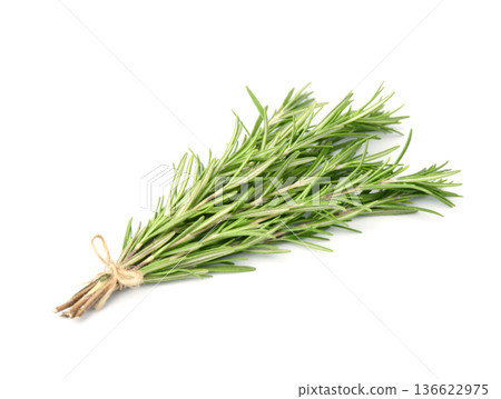 Rosemary plant on white backgrounds Rosemary plant on white backgrounds 136622975