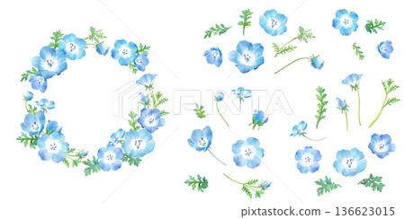 A set of circular decorative frames and elements made up of watercolor illustrations of nemophila on a transparent background A set of circular decorative frames and elements made up of watercolor illustrations of nemophila on a transparent background 136623015