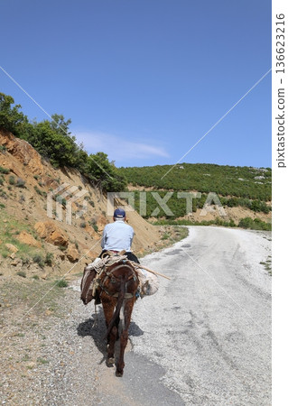 Man leading donkey. Donkey sunny mountains. High quality photo Man leading donkey. Donkey sunny mountains. High quality photo 136623216