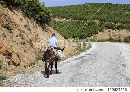 Man leading donkey. Donkey sunny mountains. High quality photo 136623218