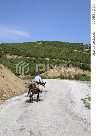 Man leading donkey. Donkey sunny mountains. High quality photo 136623219