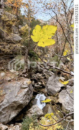 Waterfall forest rocks. Waterfall rocky landscape.Waterfall autumn. High quality 4k footage 136623321