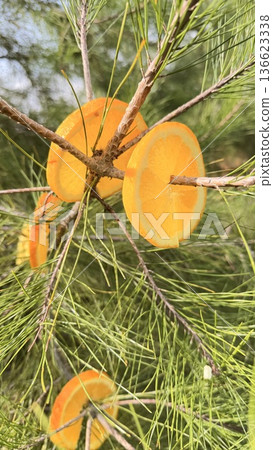 Christmas tree decoration idea with oranges. High quality 4k footage Christmas tree decoration idea with oranges. High quality 4k footage 136623338