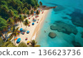 熱帶海灘鳥瞰圖 136623736