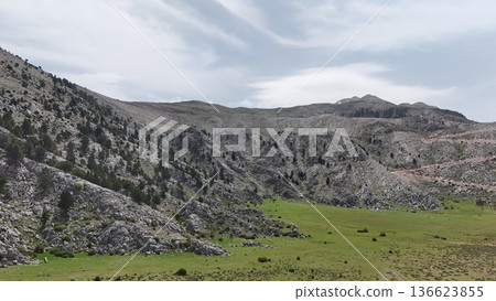 Mountain dirt road. High quality 4k footage Mountain dirt road. High quality 4k footage 136623855