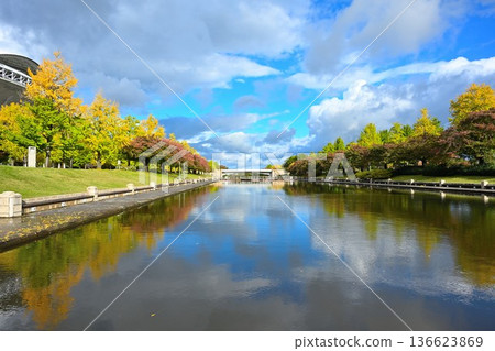 Big Swan and the canal under a clear autumn sky (Niigata City, Niigata Prefecture) 136623869