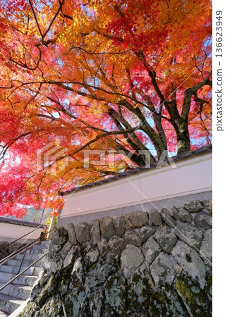 秋季的禪寶寺寺院 秋季的禪寶寺寺院 136623949