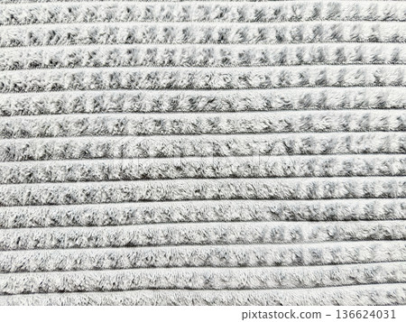 gray corduroy fabric closeup texture with soft fuzzy ridges and horizontal stripes evoking cozy winter warmth for seamless wallpaper or editorial background 136624031