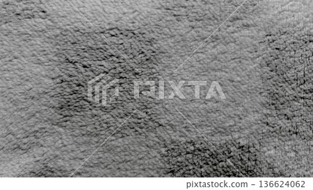 grayscale closeup of stained shaggy carpet texture dividing dirty and clean sides evoking grungy industrial mood ideal for background wallpaper or web design banner with copy space grayscale closeup of stained shaggy carpet texture dividing dirty and clean sides evoking grungy industrial mood ideal for background wallpaper or web design banner with copy space 136624062