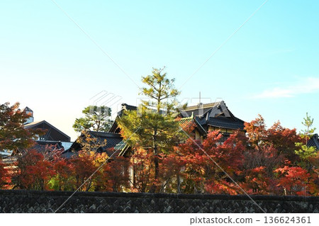 Autumn foliage at Koshiji Momiji Garden (Nagaoka City, Niigata Prefecture) Autumn foliage at Koshiji Momiji Garden (Nagaoka City, Niigata Prefecture) 136624361