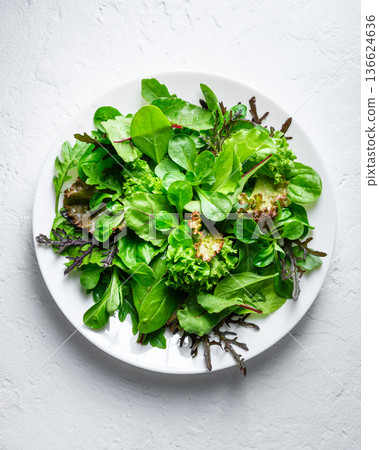 Mixed salad greens arranged on white plate in minimal composition 136624636