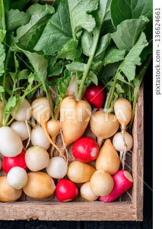 Multicolor radish bunches in wooden crate with green leaves Multicolor radish bunches in wooden crate with green leaves 136624661