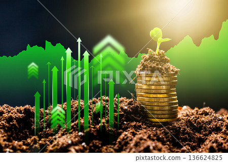 Growth of investment and finance through planting seeds in soil with coins Growth of investment and finance through planting seeds in soil with coins 136624825