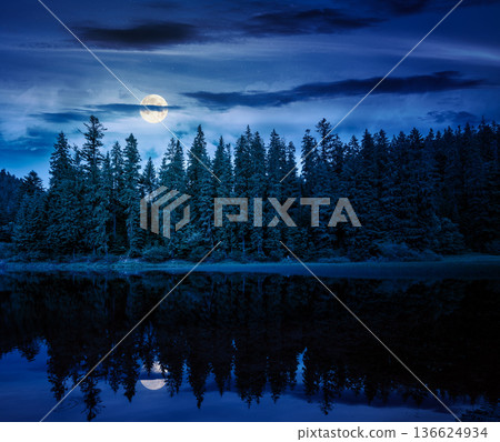 lake in summer mountain landscape at night. fresh body of water surrounded by coniferous forest in full moon light. spectacular scenery of alpine destination for photo tourism. mysterious fantasy lake in summer mountain landscape at night. fresh body of water surrounded by coniferous forest in full moon light. spectacular scenery of alpine destination for photo tourism. mysterious fantasy 136624934