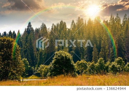 coniferous forest on a steep hillside meadow in summer at sunset. mountain landscape in evening light. beautiful nature scenery. green environment open vista with fir trees near pasture under rainbow coniferous forest on a steep hillside meadow in summer at sunset. mountain landscape in evening light. beautiful nature scenery. green environment open vista with fir trees near pasture under rainbow 136624944