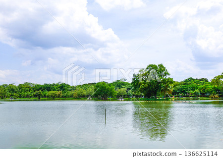 綠樹環繞的池塘公園 136625114