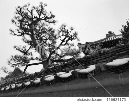 Snow-covered pine trees and tiled roofs 136625173