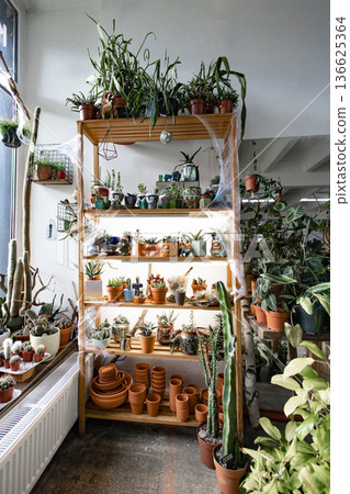 A variety of potted plants are displayed on wooden shelves in a bright, inviting shop setting 136625364