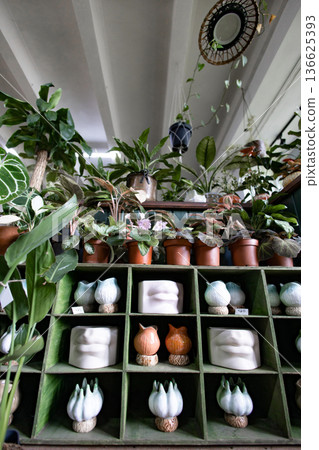 A variety of houseplants and decorative pottery are displayed on shelves in a shop A variety of houseplants and decorative pottery are displayed on shelves in a shop 136625393