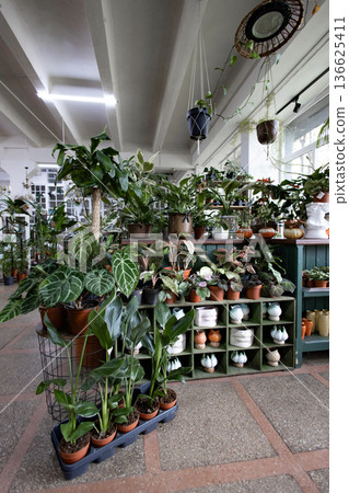 A wide shot showcases a variety of plants in a shop setting, creating a vibrant and inviting atmosphere A wide shot showcases a variety of plants in a shop setting, creating a vibrant and inviting atmosphere 136625411
