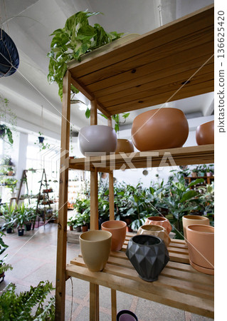 A wooden shelf displays various ceramic pots with plants in a bright, airy shop setting 136625420