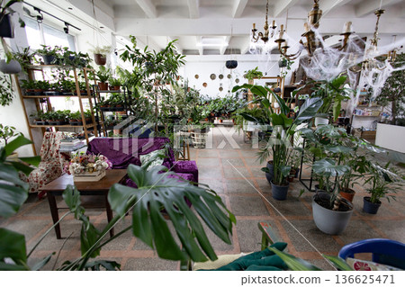 A beautiful indoor plant shop is filled with various potted plants and decorative elements, creating a lush and inviting atmosphere A beautiful indoor plant shop is filled with various potted plants and decorative elements, creating a lush and inviting atmosphere 136625471