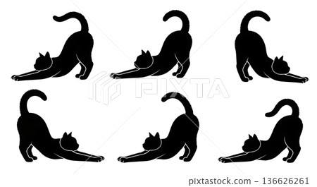 black silhouettes of female silhouettes black silhouettes of female silhouettes 136626261