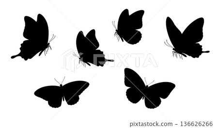 Black Solid Implied Scales Butterfly Silhouettes Set of Six on White Background Black Solid Implied Scales Butterfly Silhouettes Set of Six on White Background 136626266