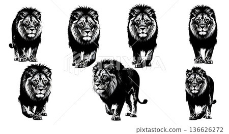 Black Solid Intense Concentration Lion Silhouettes Set of Six on White Background Black Solid Intense Concentration Lion Silhouettes Set of Six on White Background 136626272