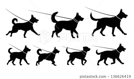 Black Solid Leash Walking Dogs Silhouettes Set of Six on White Background Black Solid Leash Walking Dogs Silhouettes Set of Six on White Background 136626419