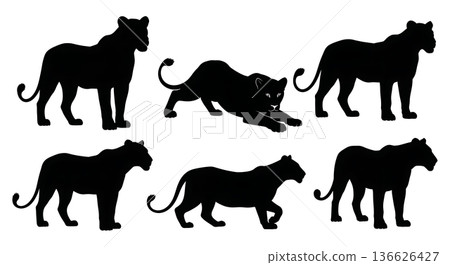 Black Solid Lioness Alert Silhouettes Set of Six on White Background Black Solid Lioness Alert Silhouettes Set of Six on White Background 136626427