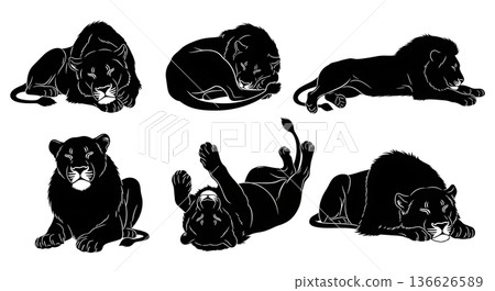 Black Solid Peaceful Rest Lion Silhouettes Set of Six on White Background Black Solid Peaceful Rest Lion Silhouettes Set of Six on White Background 136626589