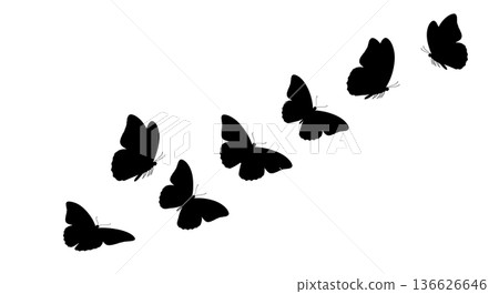 Black Solid Rapid Straight Flight Butterfly Silhouettes Set of Six on White Background Black Solid Rapid Straight Flight Butterfly Silhouettes Set of Six on White Background 136626646