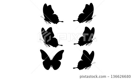 Black Solid Side-By-Side Butterfly Silhouettes Set of Six on White Background Black Solid Side-By-Side Butterfly Silhouettes Set of Six on White Background 136626680