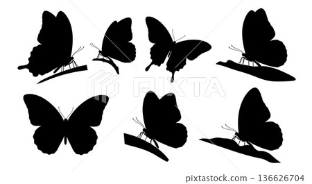 Black Solid Spread Wing Butterfly Silhouettes Set of Six on White Background 136626704