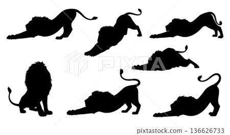 Black Solid Stretching Out Lion Silhouettes Set of Six on White Background 136626733