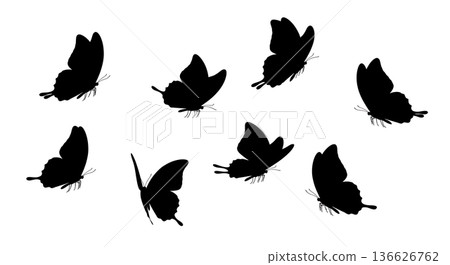 Black Solid Takeoff Butterfly Silhouettes Set of Six on White Background Black Solid Takeoff Butterfly Silhouettes Set of Six on White Background 136626762