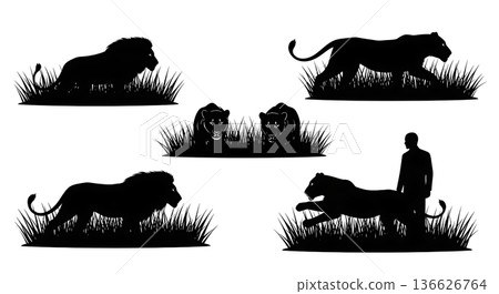 Black Solid Tall Grass Hunting Lion Silhouettes Set of Six on White Background 136626764