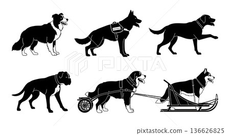 Black Solid Working Dog Breeds Silhouettes Set of Six on White Background 136626825