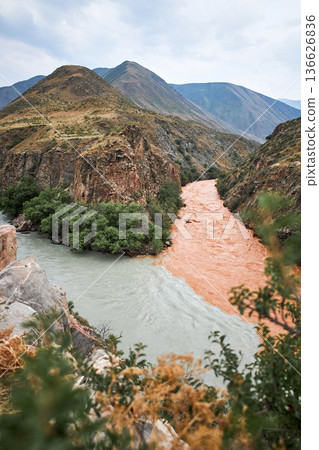 Two rivers with clear and muddy water joining in a mountain landscape. Nature meeting concept for ecology and environment projects. Two rivers with clear and muddy water joining in a mountain landscape. Nature meeting concept for ecology and environment projects. 136626836