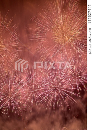 夏日夜晚的煙花 136627445