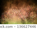 夏日夜晚的煙花 136627446