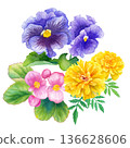 Watercolor illustration of three spring flower seedlings (begonia, pansy, marigold) Clip art 136628606