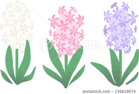 Hyacinth vector illustration - Cute spring flower material Hyacinth vector illustration - Cute spring flower material 136628674