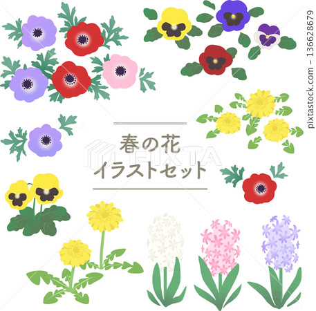 Spring flower vector illustration set: pansies, anemones, hyacinths, and dandelions 136628679