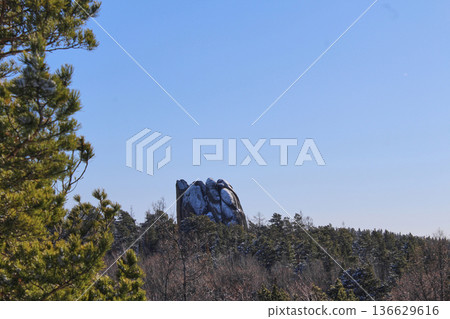 Russian Krasnoyarsk Stolby national park landscape with large snowy rock formation above winter forest against clear blue sky outdoor. Perya rock. 136629616